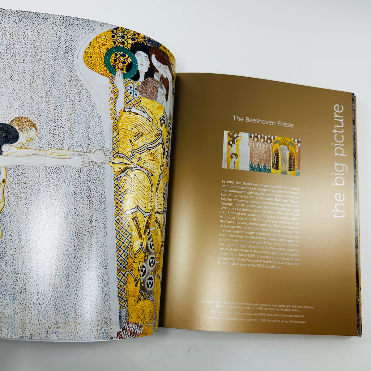 Klimt - The Bigger Picture
