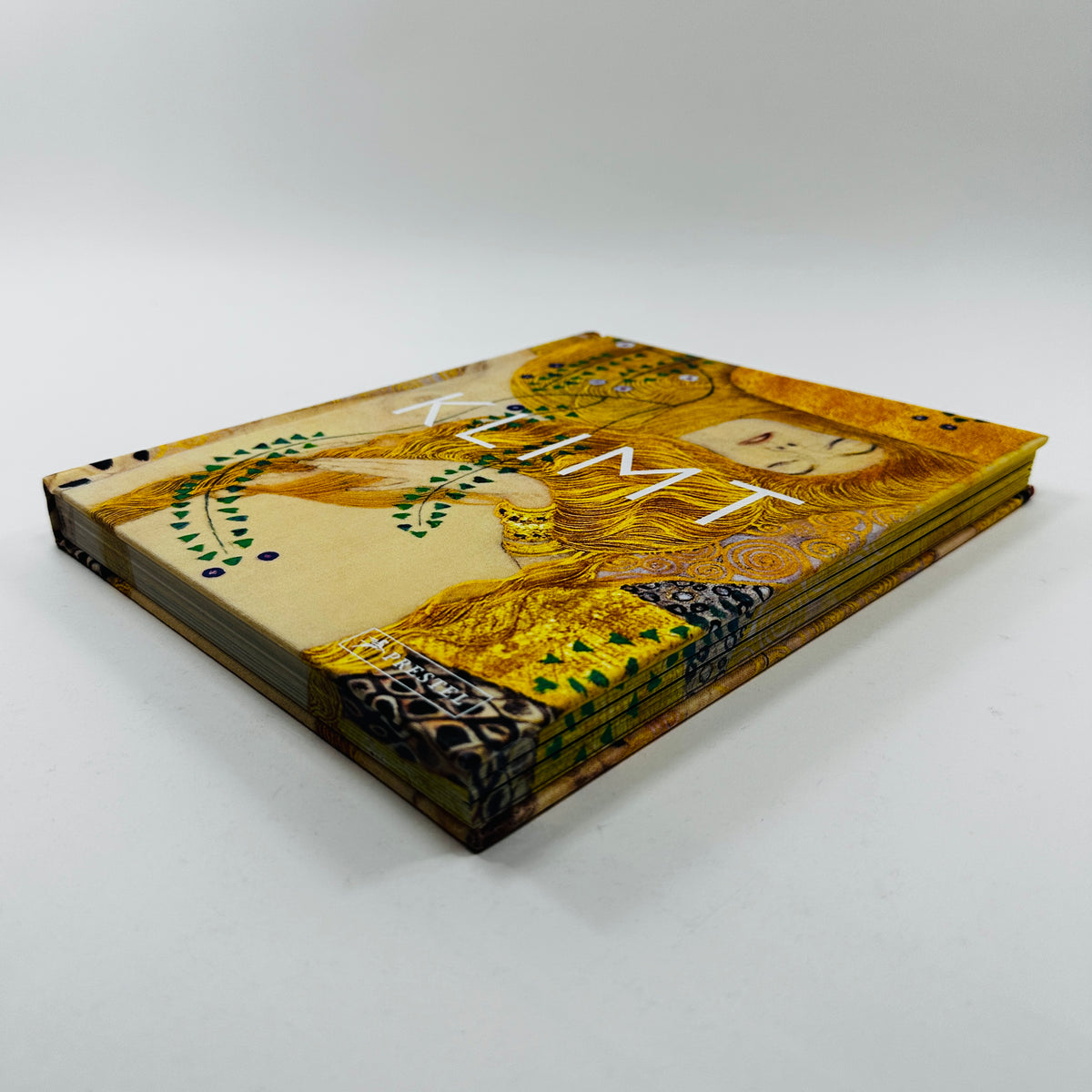 Klimt - The Bigger Picture