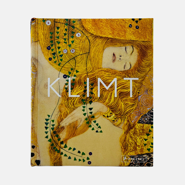 Klimt - The Bigger Picture