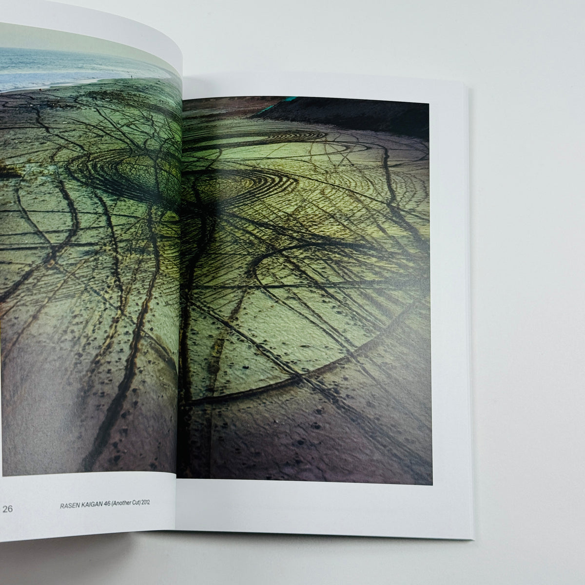 Lieko Shiga - Tate Photography Series