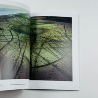 Lieko Shiga - Tate Photography Series