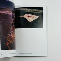 Lieko Shiga - Tate Photography Series