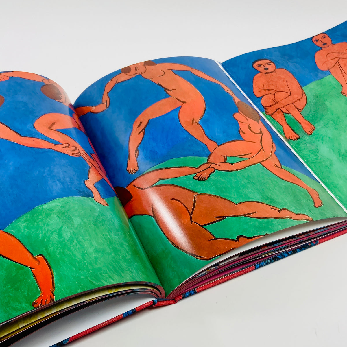 Matisse - The Bigger Picture