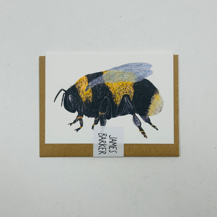 Mini Bumblebee - James Barker Card