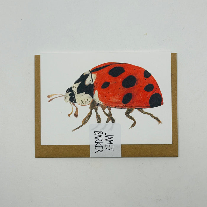 Mini Ladybug - James Barker Card