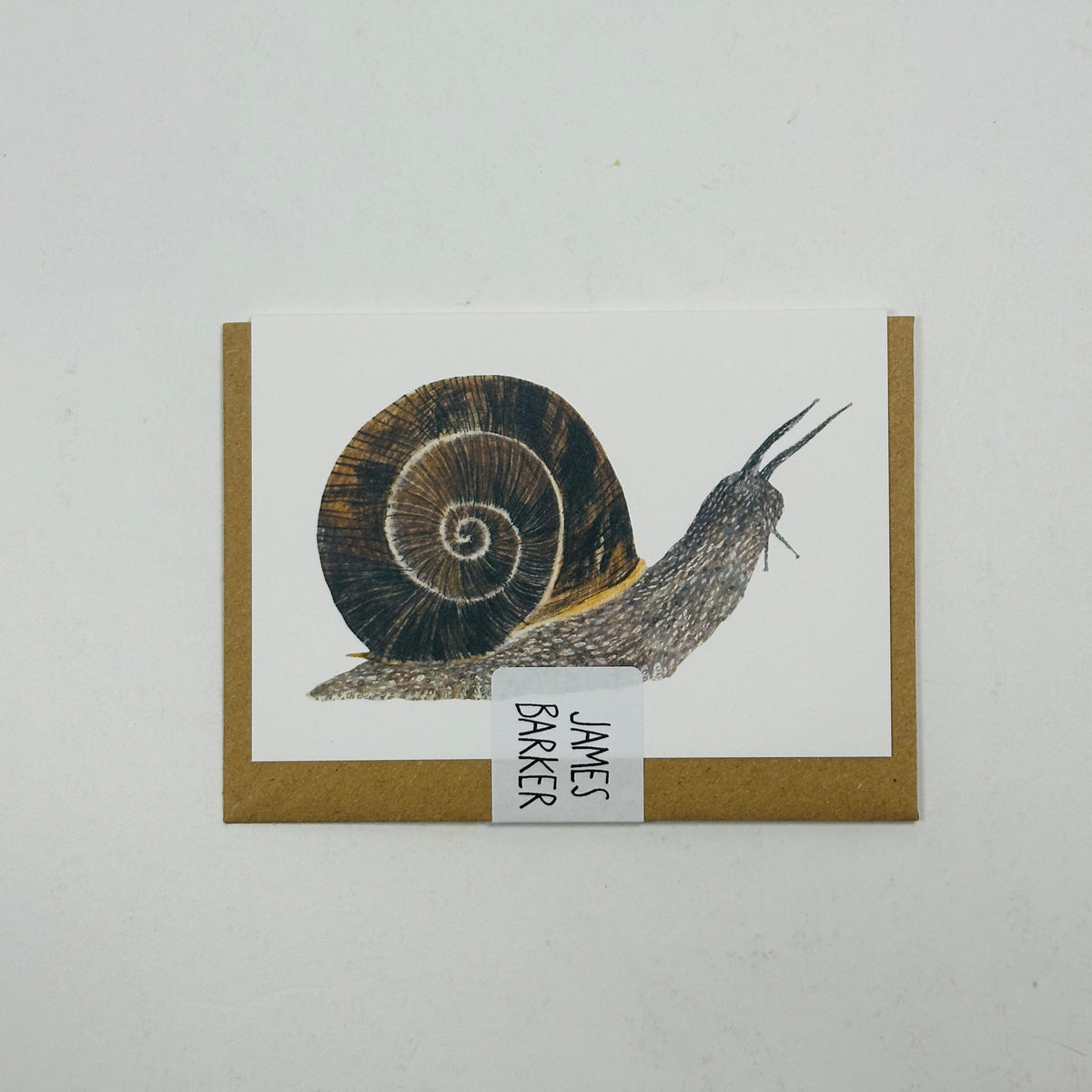 Mini Snail - James Barker Card