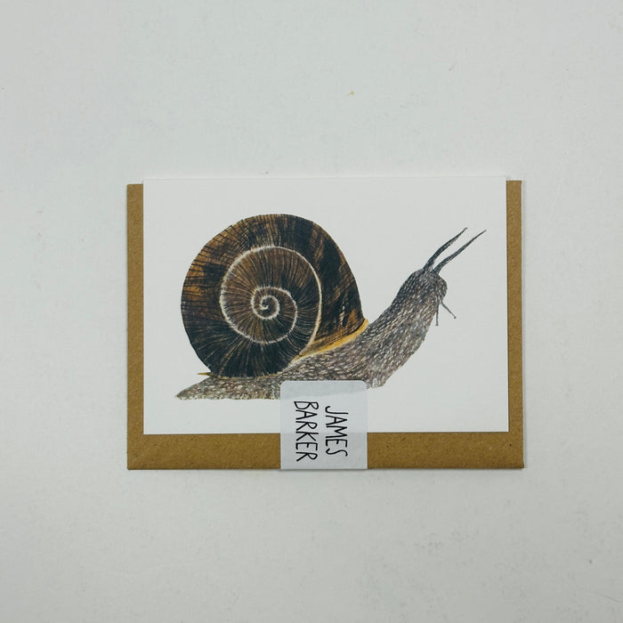 Mini Snail - James Barker Card