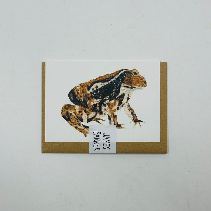 Mini Toad - James Barker Card