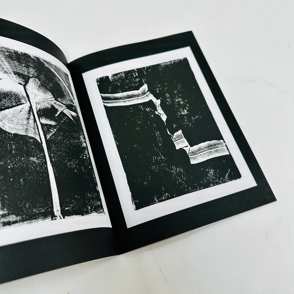 Monochrome Monoprints