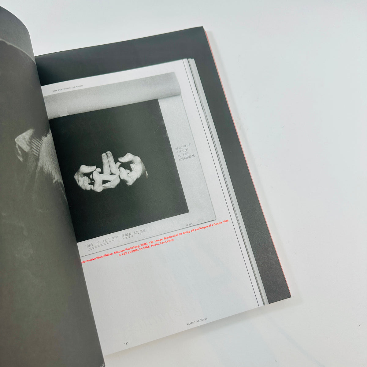 Mousse #96 - 2006–2026 A Visual Record
