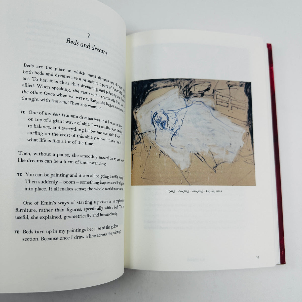 My Heart is This - Tracey Emin on Painting