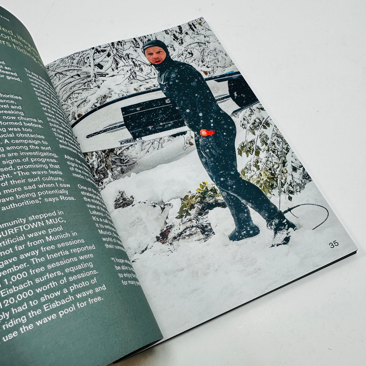 Nature Zine #3 - Swimmable Cities