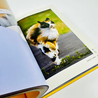 Neko - Cats of Japan