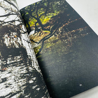 New Mountain #3 - Stories of the Outdoor Kind