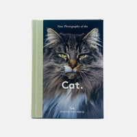 New Photography of the Cat