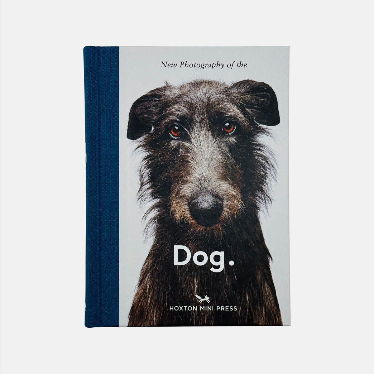 New Photography of the Dog