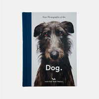 New Photography of the Dog