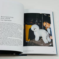 New Photography of the Dog