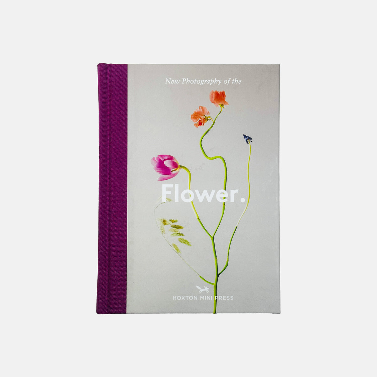 New Photography of the Flower
