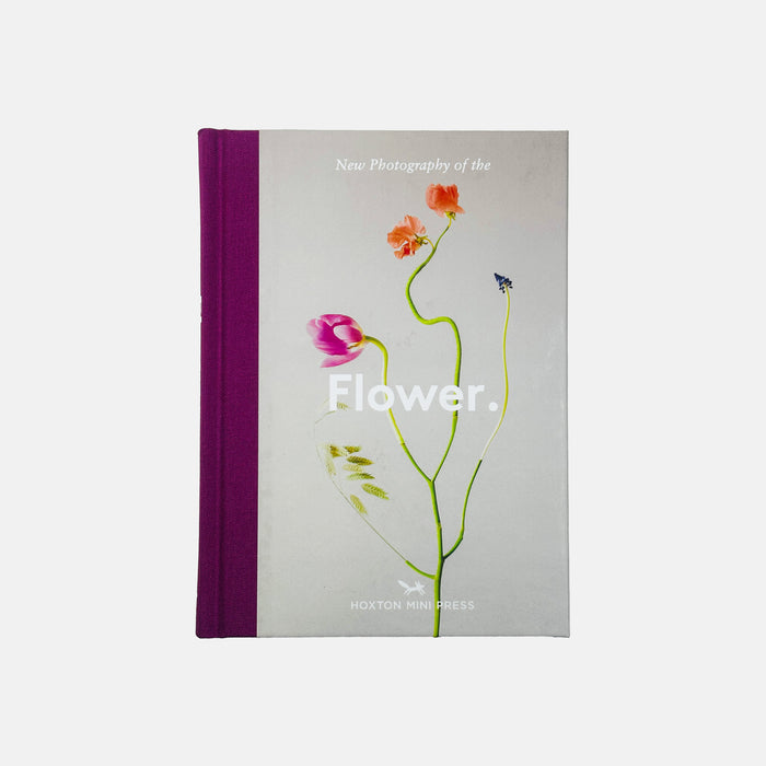 New Photography of the Flower