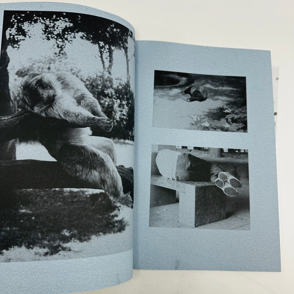 Pfeil Magazine #19 - Rest