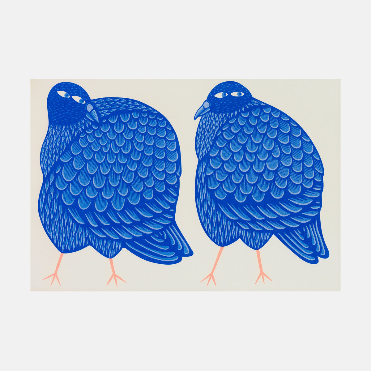 Pigeon Fancier A3 Print - Strangford Card