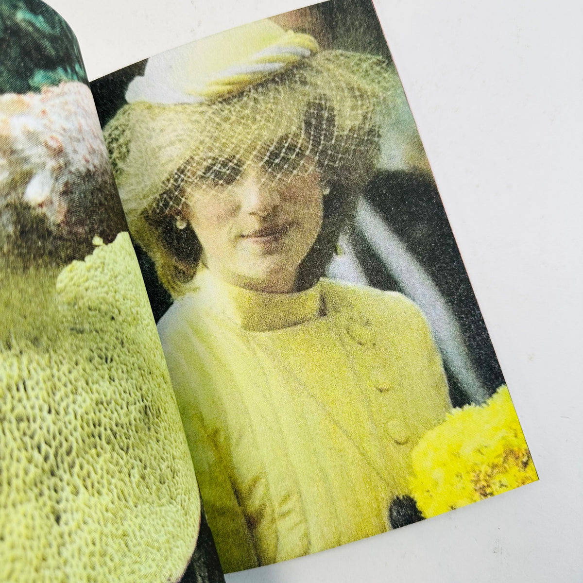 Princess Diana as Mushrooms - Lulu Williams