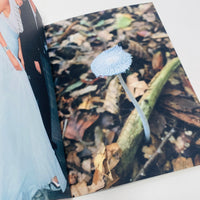 Princess Diana as Mushrooms #1