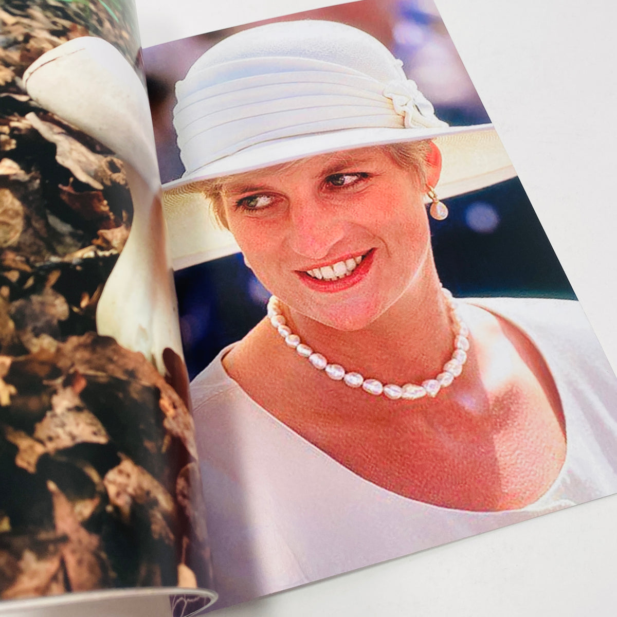 Princess Diana as Mushrooms #2