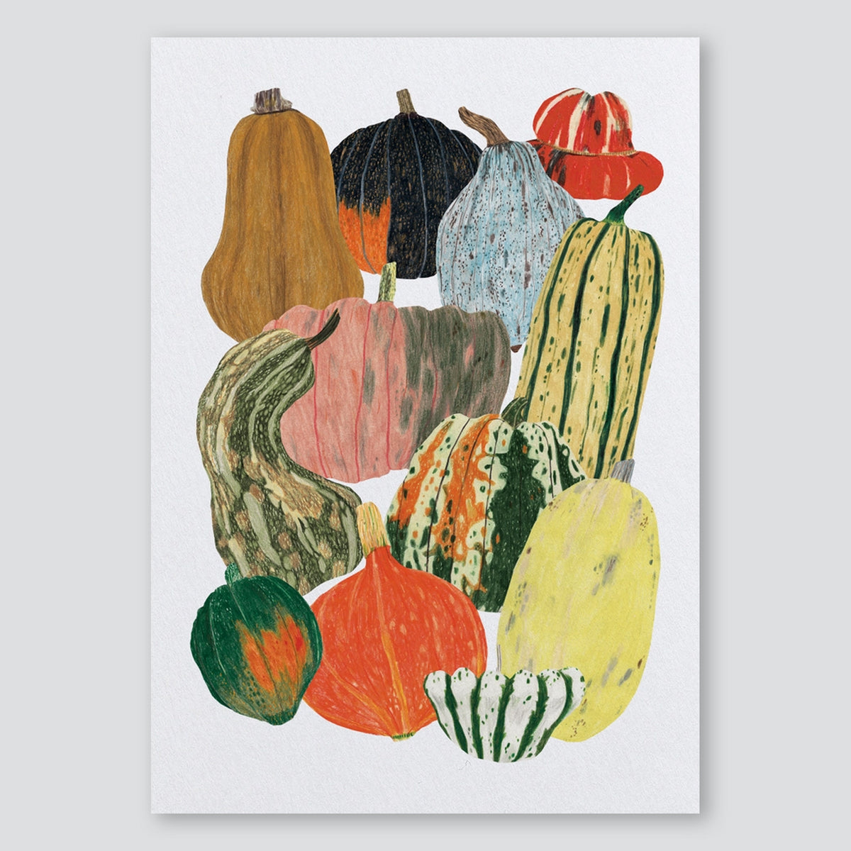 Pumpkin Squash Vegetables A3 Print - James Barker