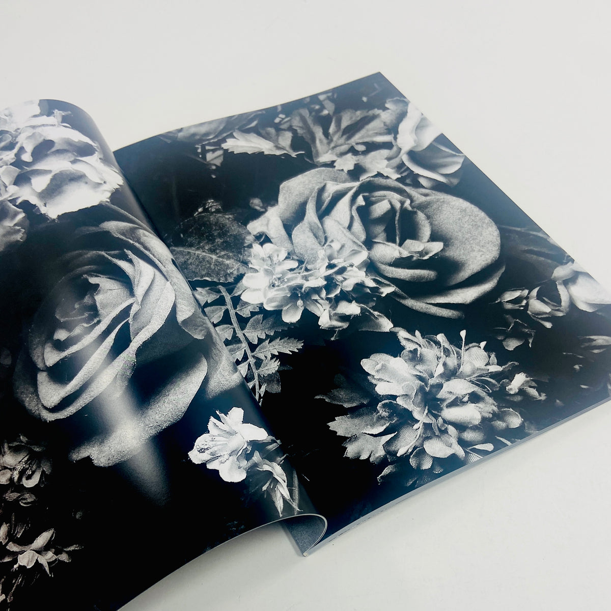 Record 59 - Daido Moriyama