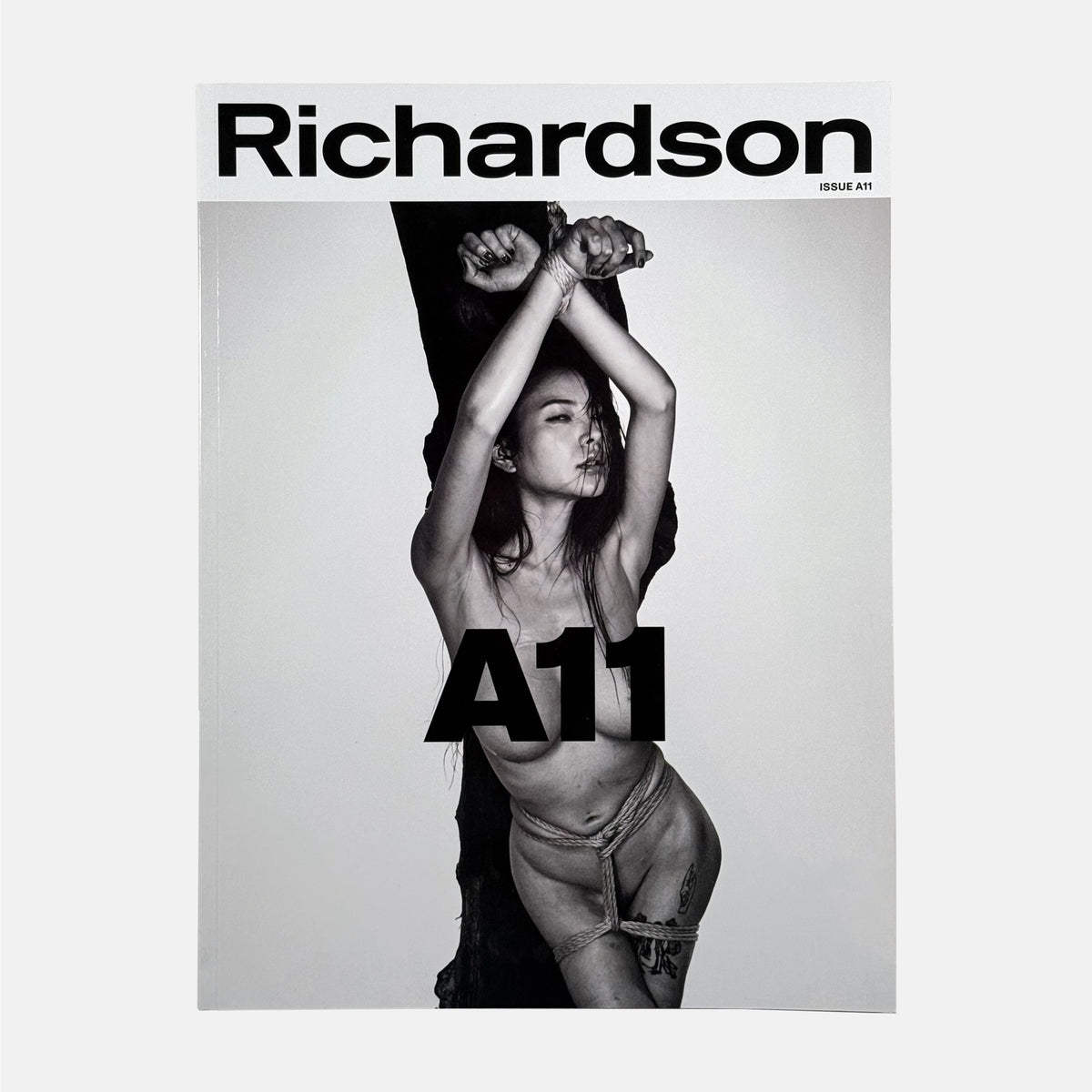 Richardson A11 - The Agency Issue