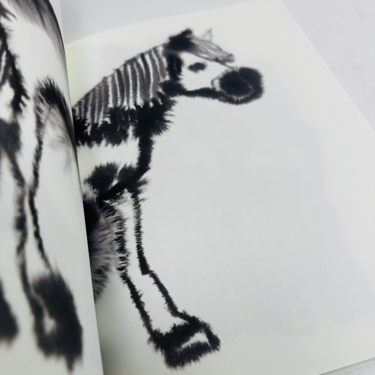 Rop Van Mierlo Colouring Book