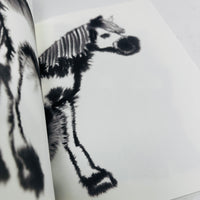 Rop Van Mierlo Colouring Book