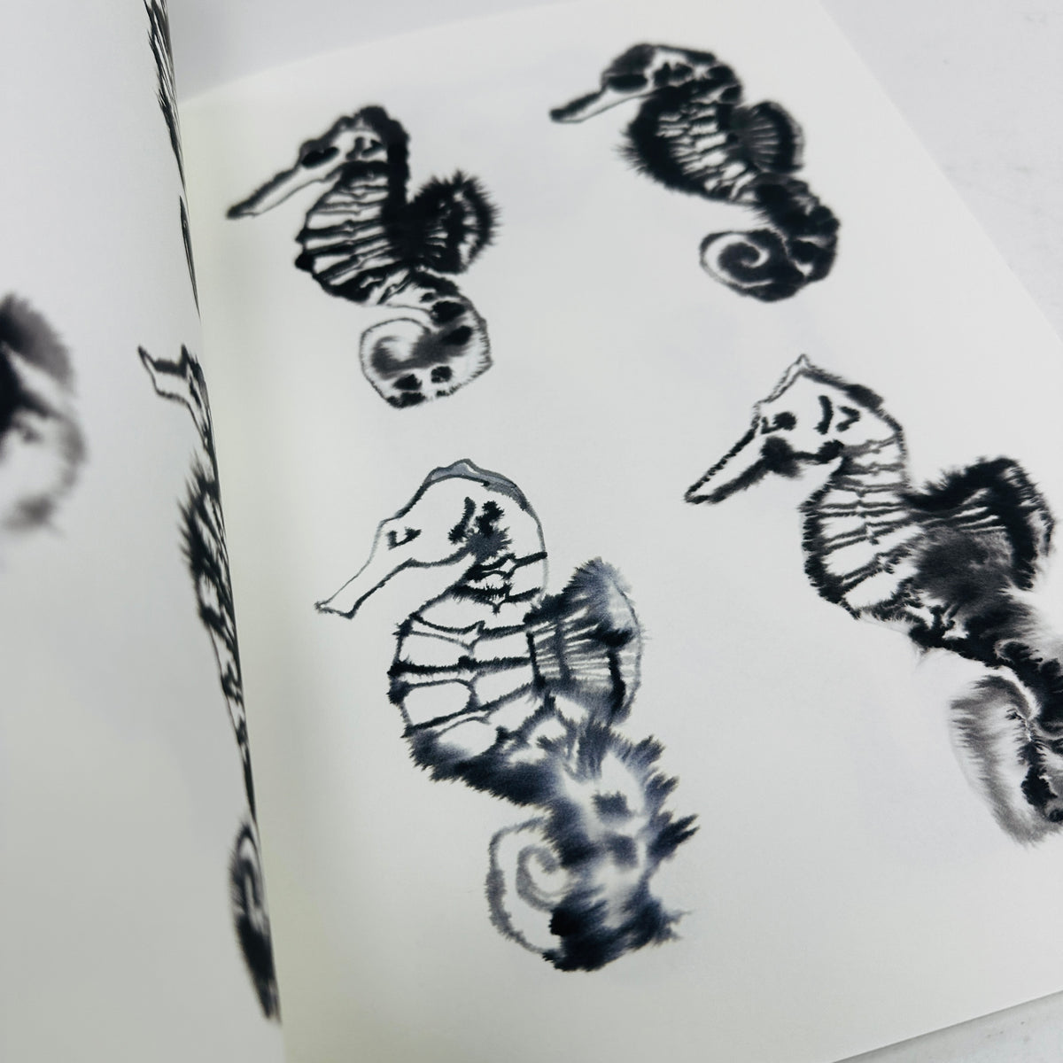 Rop Van Mierlo Colouring Book