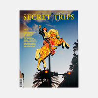 Secret Trips #6