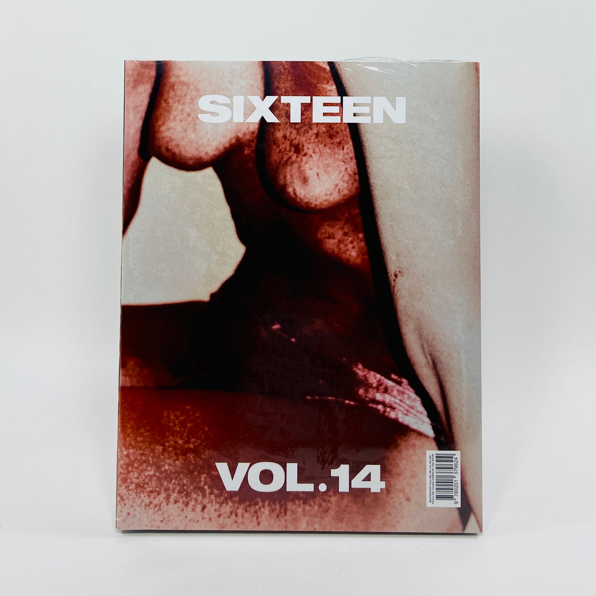 Sixteen #14 - The Photographic Gesture