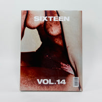 Sixteen #14 - The Photographic Gesture