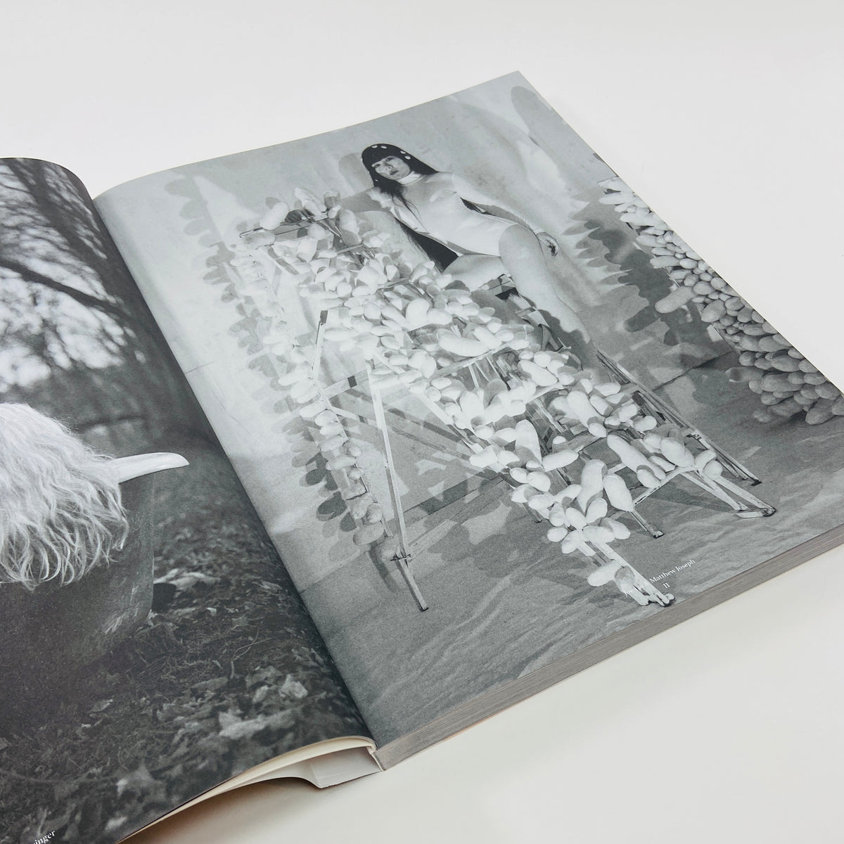 Sixteen #14 - The Photographic Gesture