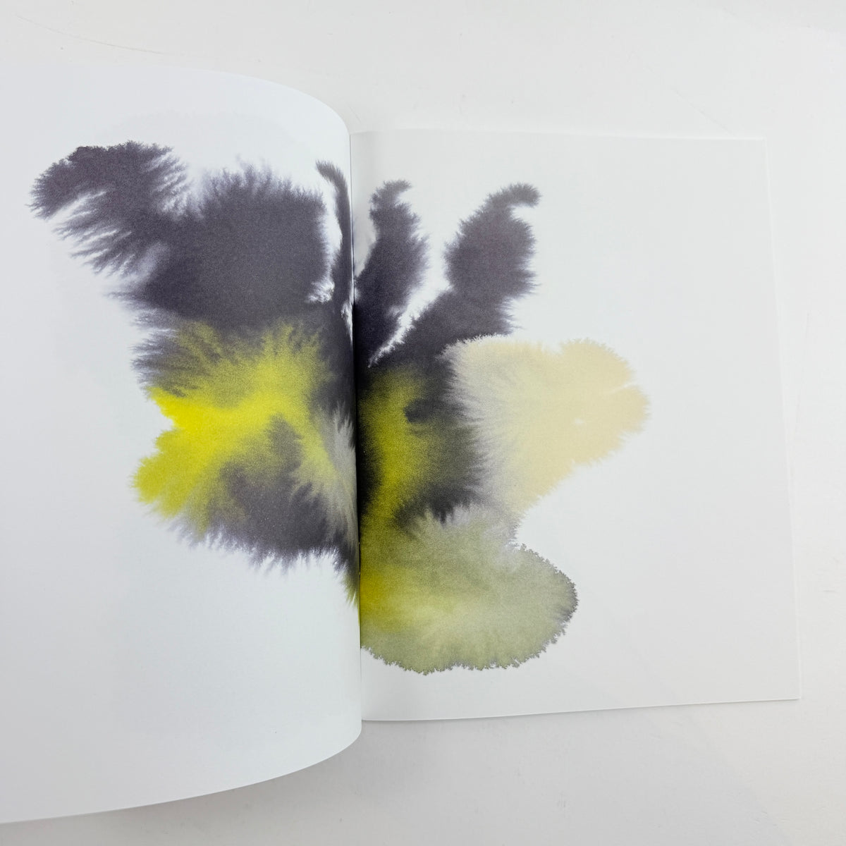Some Logic #2 - Rop van Mierlo