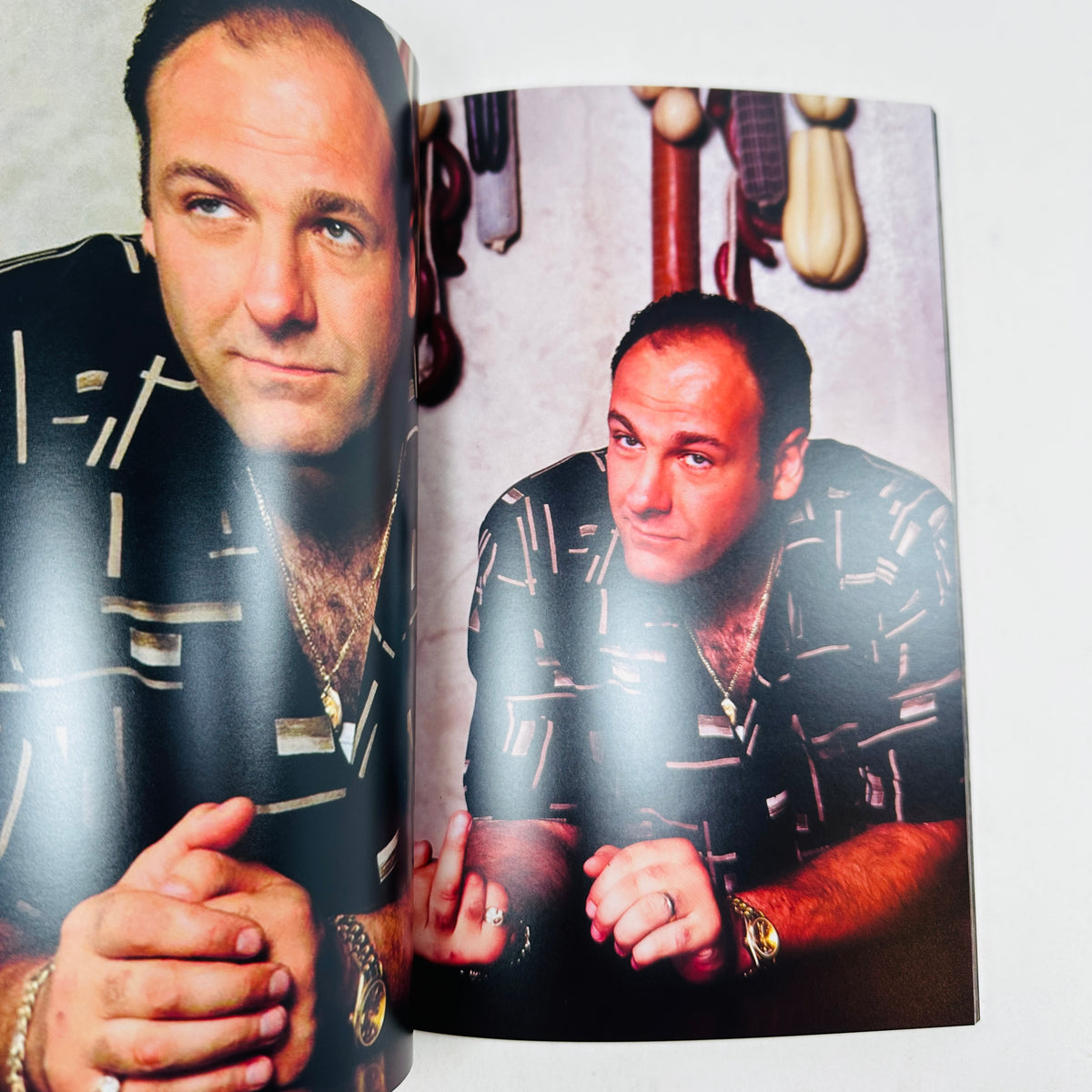 Sopranos This Thing Of Ours - Living Proof