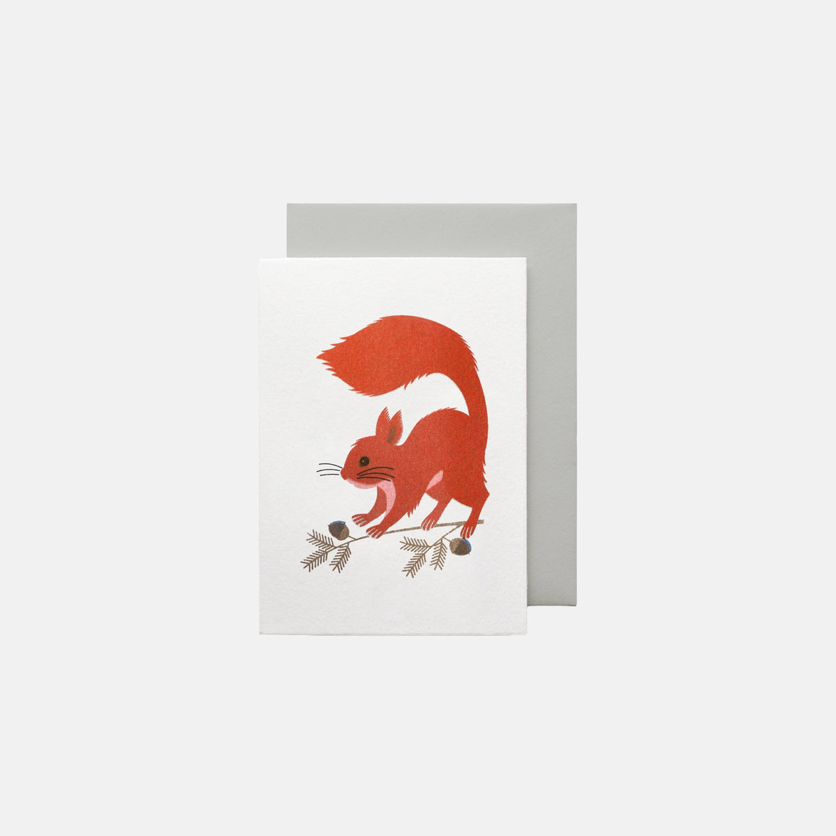 Squirrel - Bobbie Print Card