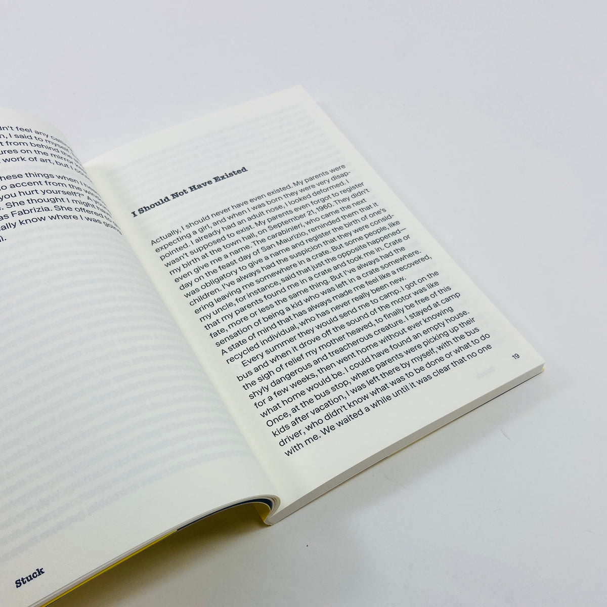 Stuck - Maurizio Cattelan - The Unauthorised Autobiography