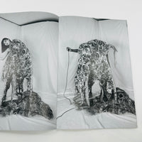 Synthesis - Mari Katayama