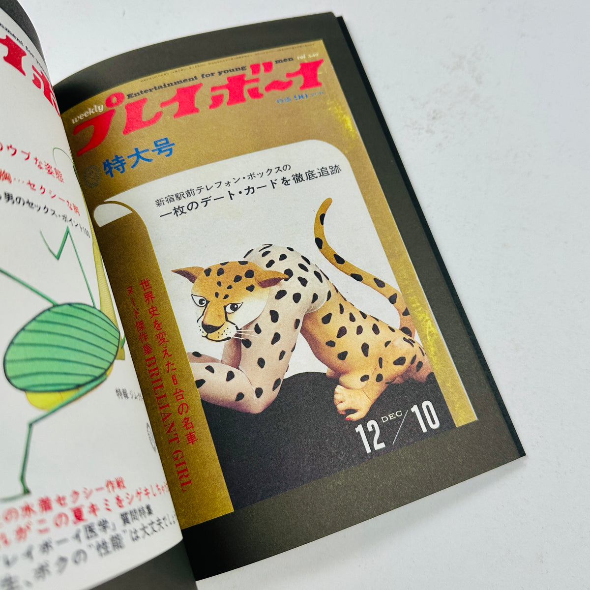 The Animal Covers of Weekly Playboy Japan (1966-1971)