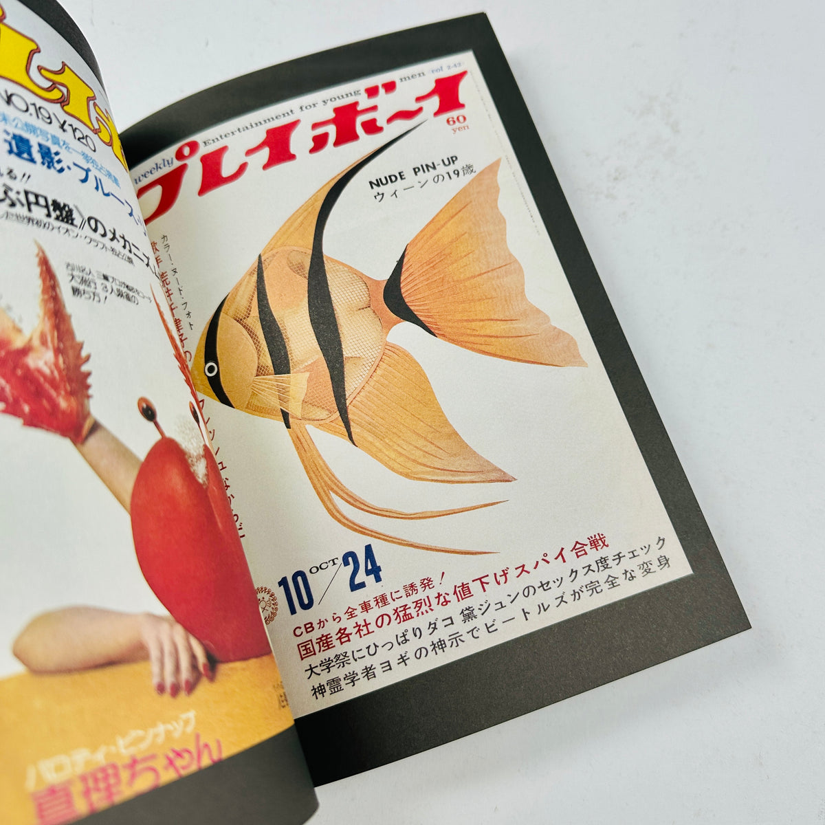 The Animal Covers of Weekly Playboy Japan (1966-1971)