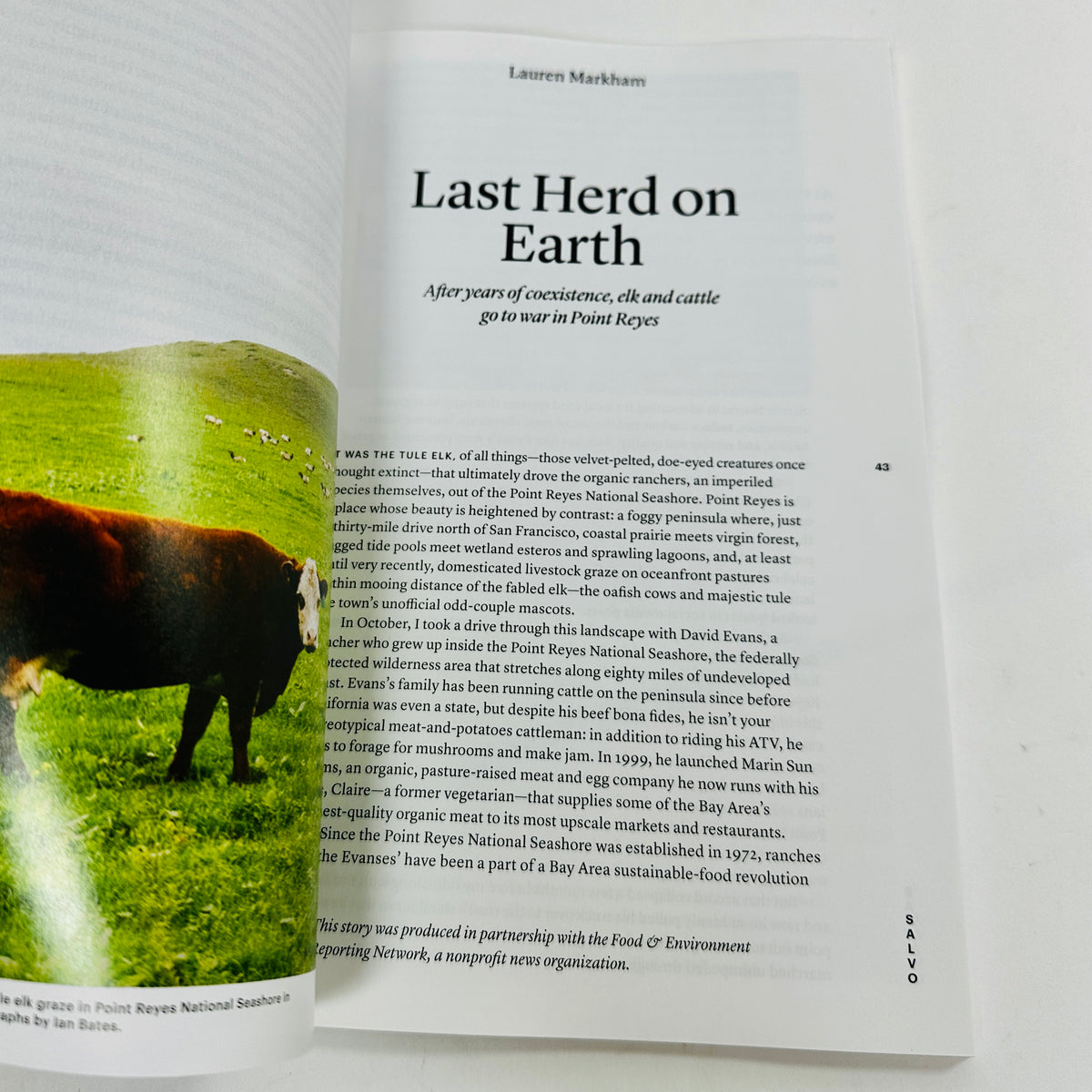 The Baffler #82