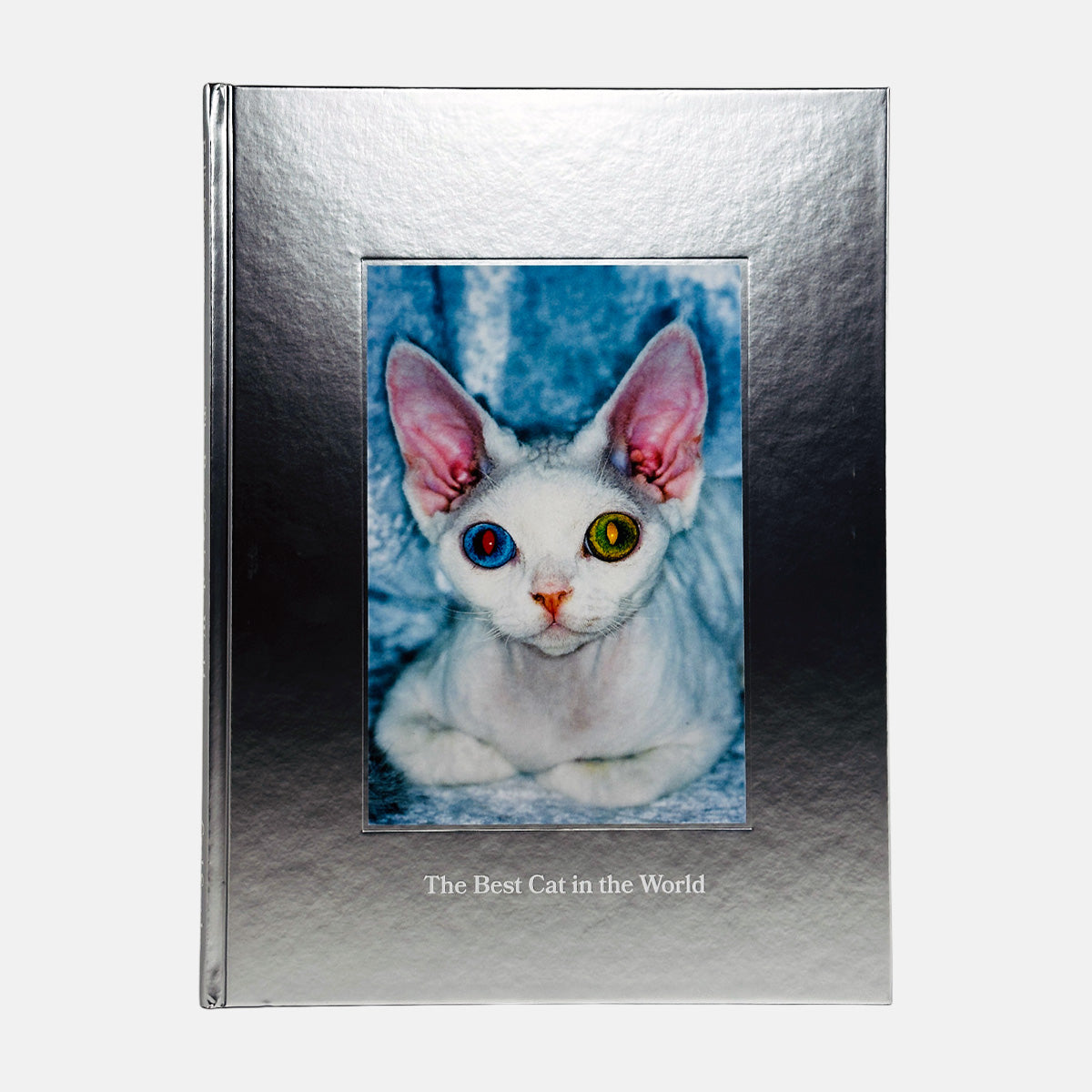 The Best Cat in the World - Felix Swensson