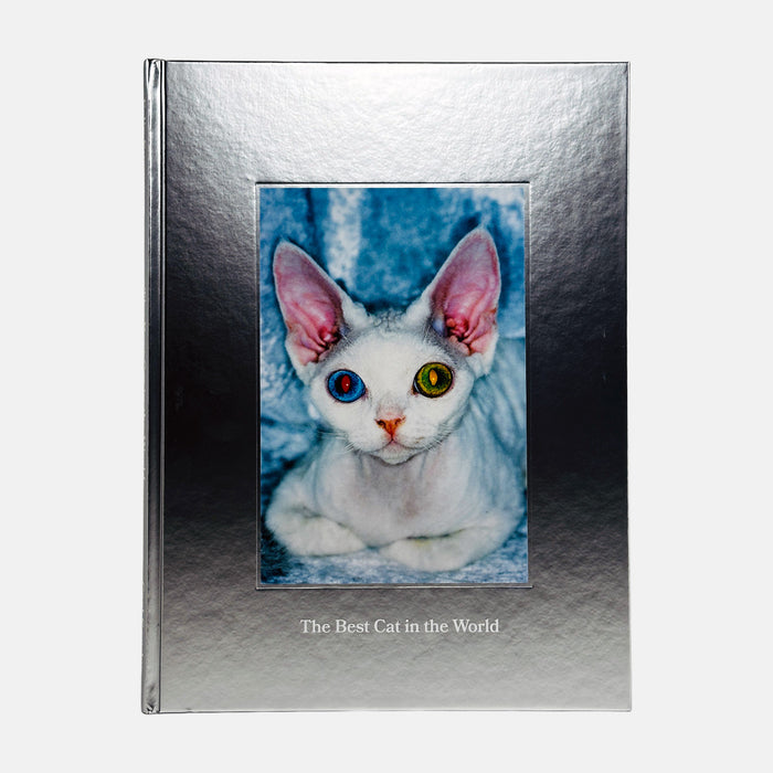 The Best Cat in the World - Felix Swensson
