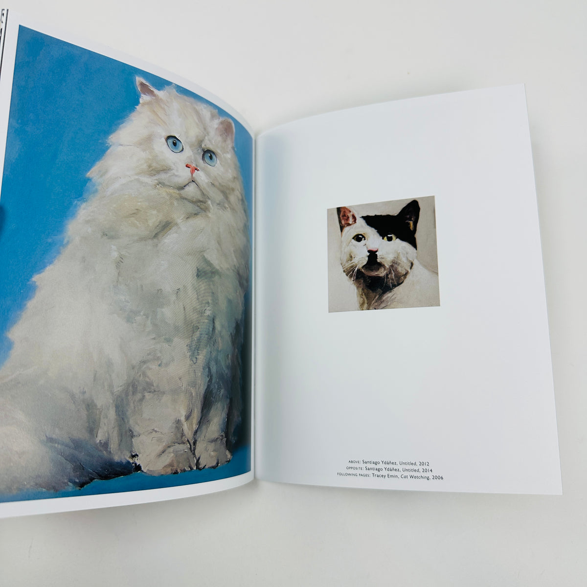 The Book of the Cat - Cats in Art